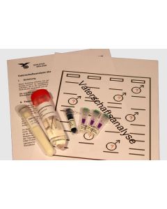 DNA kit paternity analysis