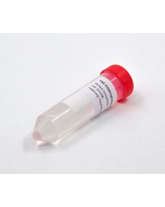 TAE Electrophoresis buffer