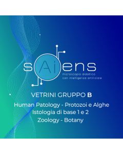 sAiens - VETRINI GRUPPO B