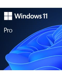 WIN 11 PRO 64BIT ENG 1PK DSP OEI DVD