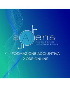 sAiens - Formazione aggiuntiva 2 ore OnLine
