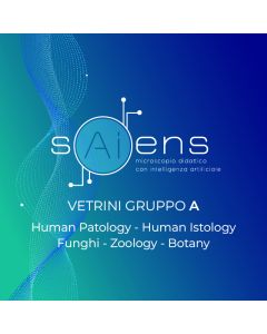 sAiens-VETRINI GRUPPO A